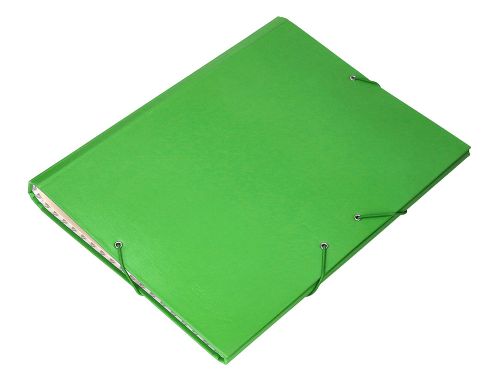 Pasta classificadora liderpapel com 12 departamentos verde , Liderpapel , 26423 , 8423473264236